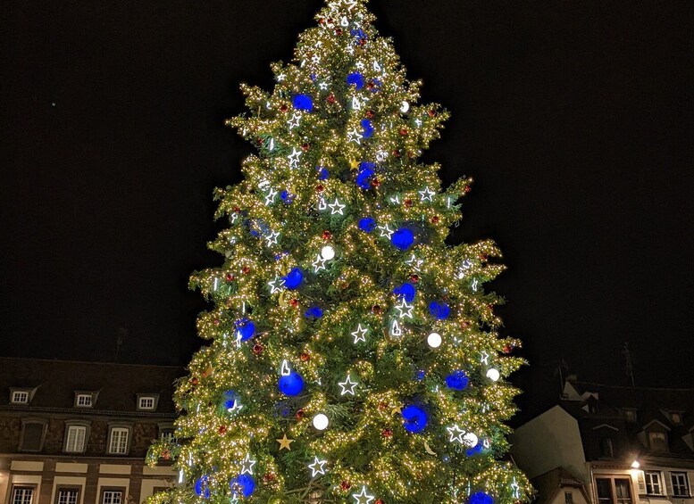 Picture 3 for Activity Strasbourg: Christmas Market by Night with Mulled Wine