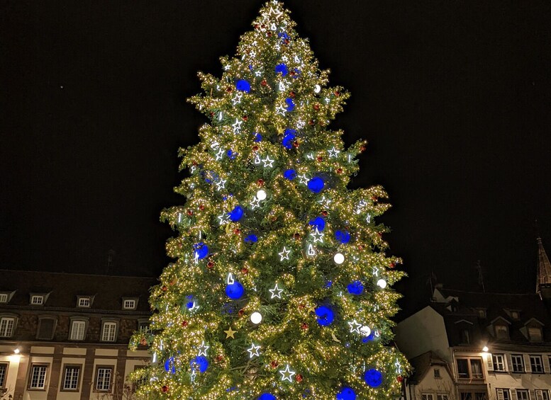 Picture 3 for Activity Strasbourg: Christmas Market by Night with Mulled Wine