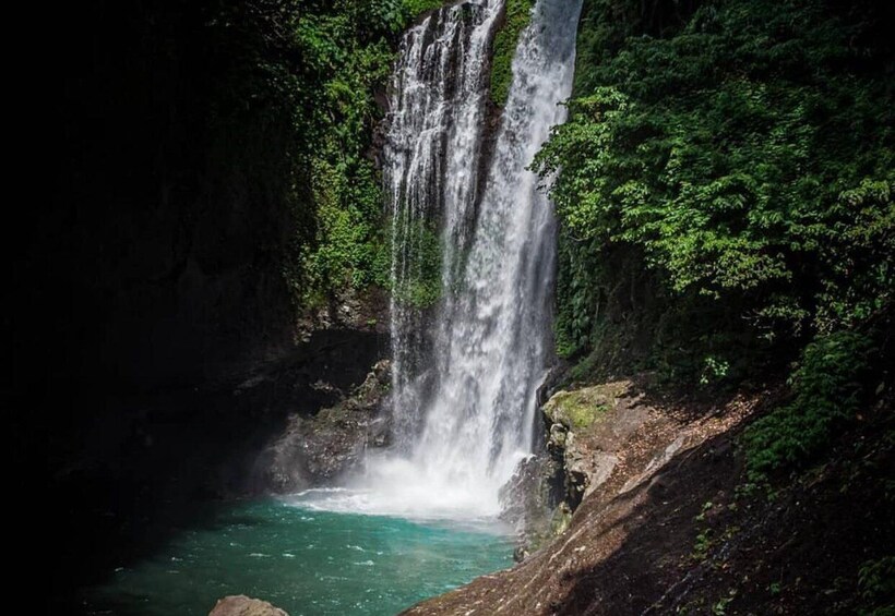 Picture 4 for Activity Munduk/Lovina: Waterfall, Snorkeling & Dolphin Watching Tour