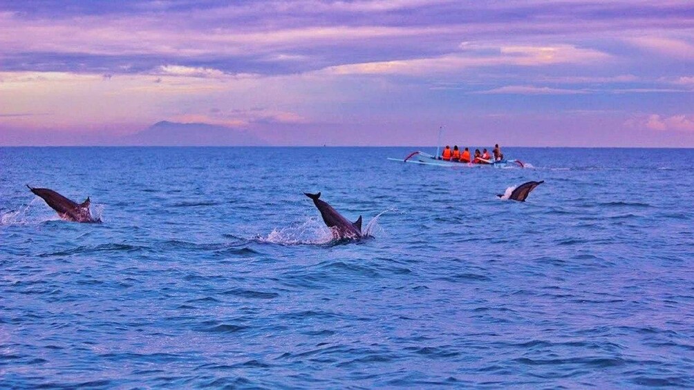 Picture 3 for Activity Munduk/Lovina: Waterfall, Snorkeling & Dolphin Watching Tour