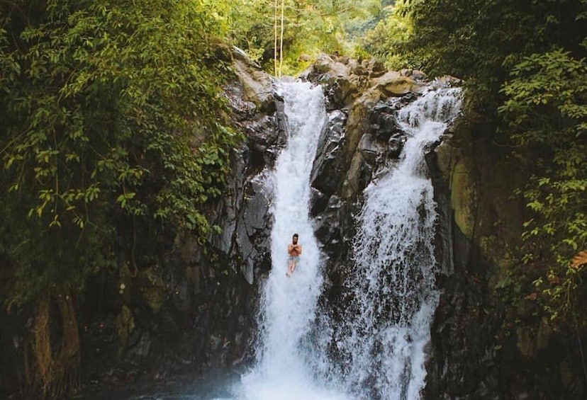 Picture 5 for Activity Munduk/Lovina: Waterfall, Snorkeling & Dolphin Watching Tour