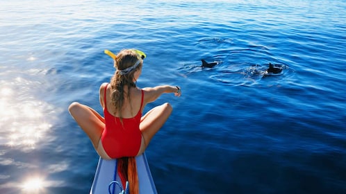 Bali/Lovina: Dolphin Snorkelling, Swimming & Waterfall Tour