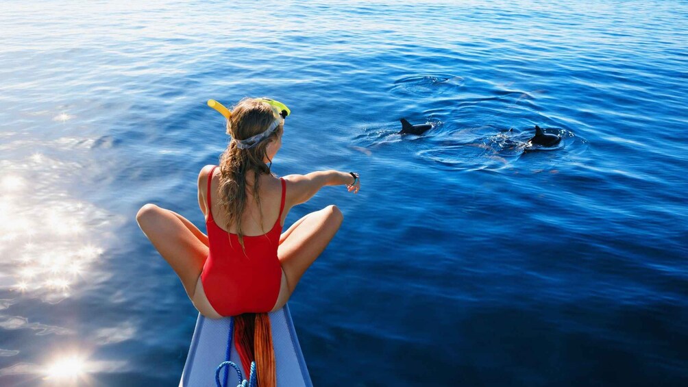 Bali/Lovina: Dolphin Snorkeling, Swimming & Waterfall Tour