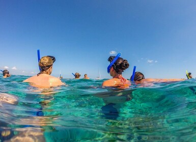 姆杜克/羅維納：瀑布、浮潛與觀賞海豚遊覽