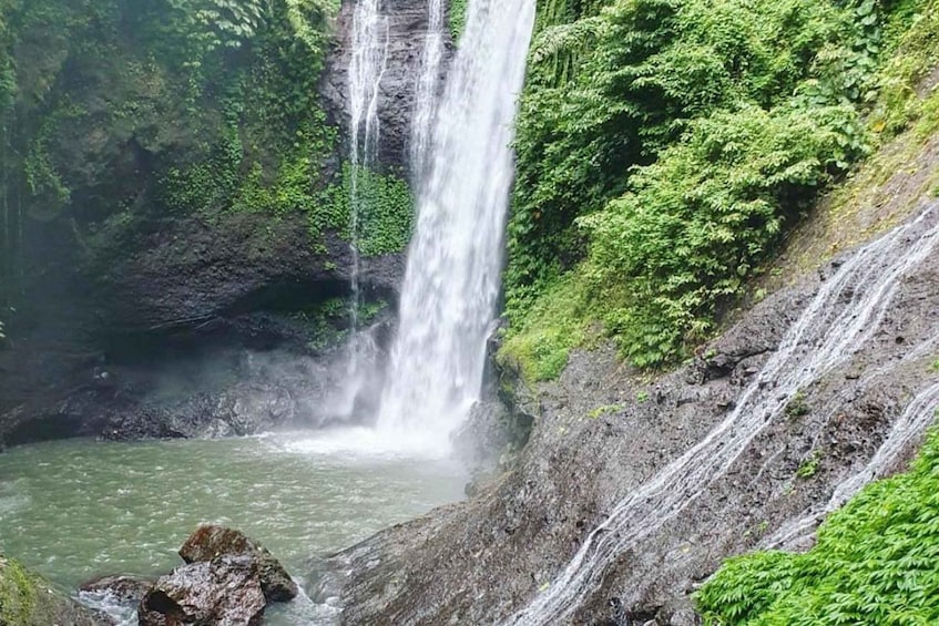 Picture 6 for Activity Munduk/Lovina: Waterfall, Snorkeling & Dolphin Watching Tour