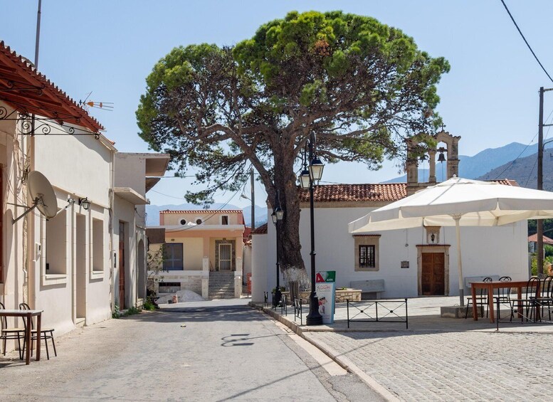 Private tasting of 6 cretan wines in Fres village