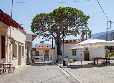 Private tasting of 6 cretan wines in Fres village