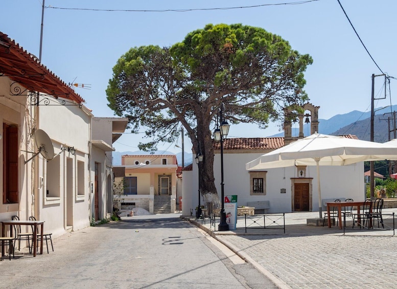 Private tasting of 6 cretan wines in Fres village