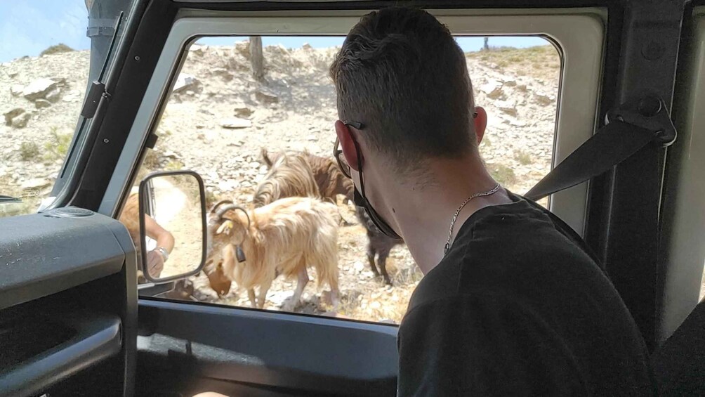 Picture 6 for Activity Heraklion: Self-Driving 4X4 Jeep Off-Road Tour with Lunch