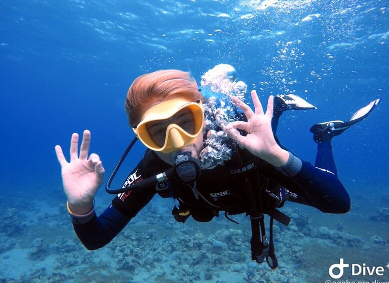 Picture 4 for Activity Pivate scuba diving in the Red Sea of Aqaba