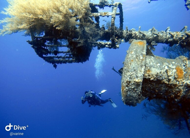 Picture 1 for Activity Pivate scuba diving in the Red Sea of Aqaba