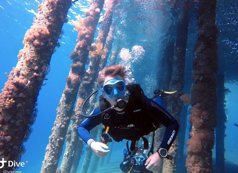 Pivate scuba diving in the Red Sea of Aqaba