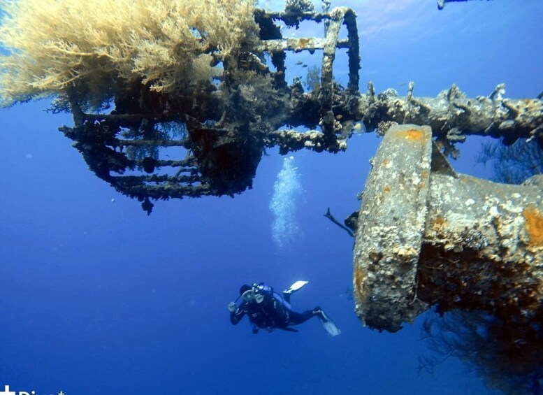 Picture 1 for Activity Pivate scuba diving in the Red Sea of Aqaba