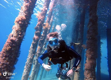 Pivate scuba diving in the Red Sea of Aqaba