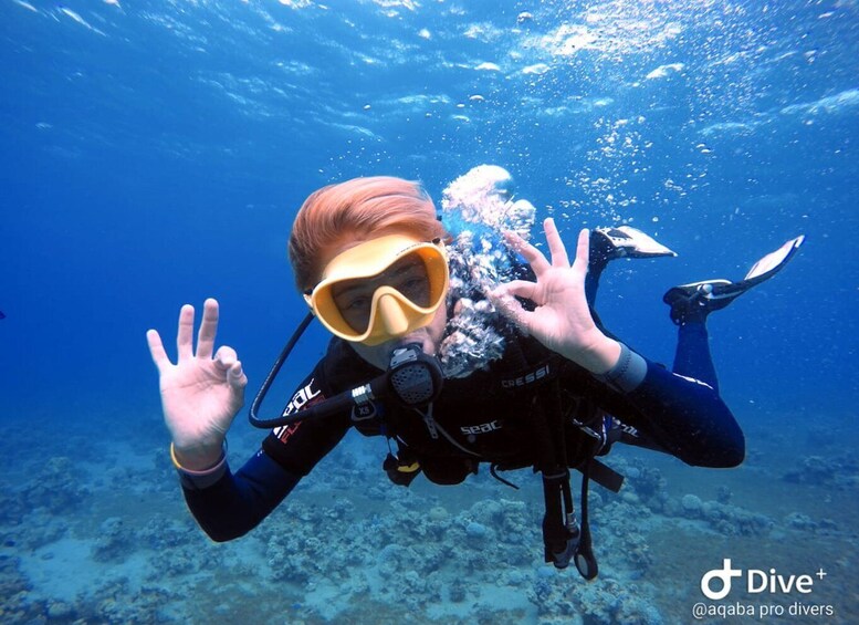 Picture 4 for Activity Pivate scuba diving in the Red Sea of Aqaba