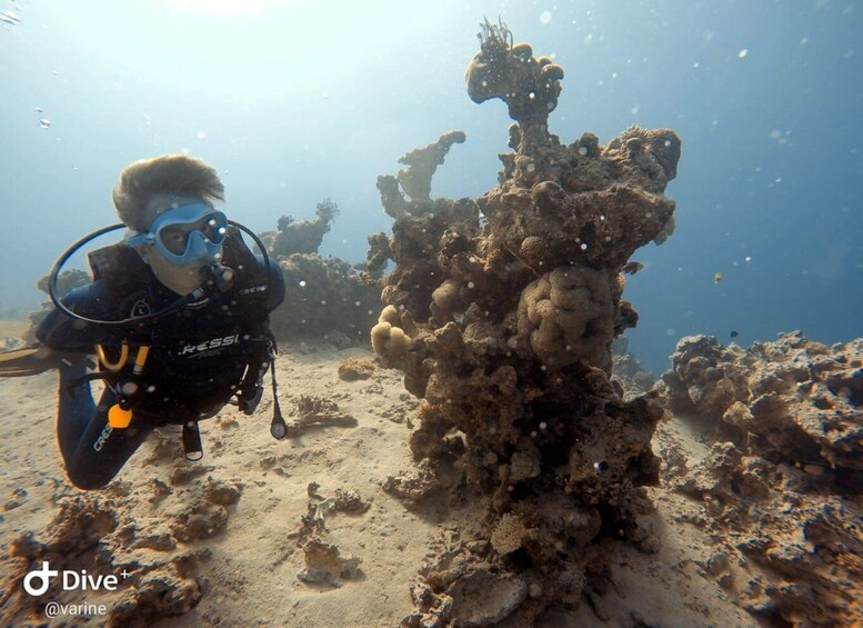 Picture 3 for Activity Pivate scuba diving in the Red Sea of Aqaba
