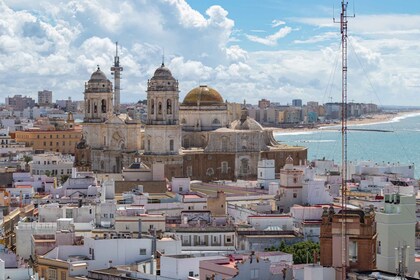 Fra Sevilla: Privat guidet dagstur til Cádiz og Jerez