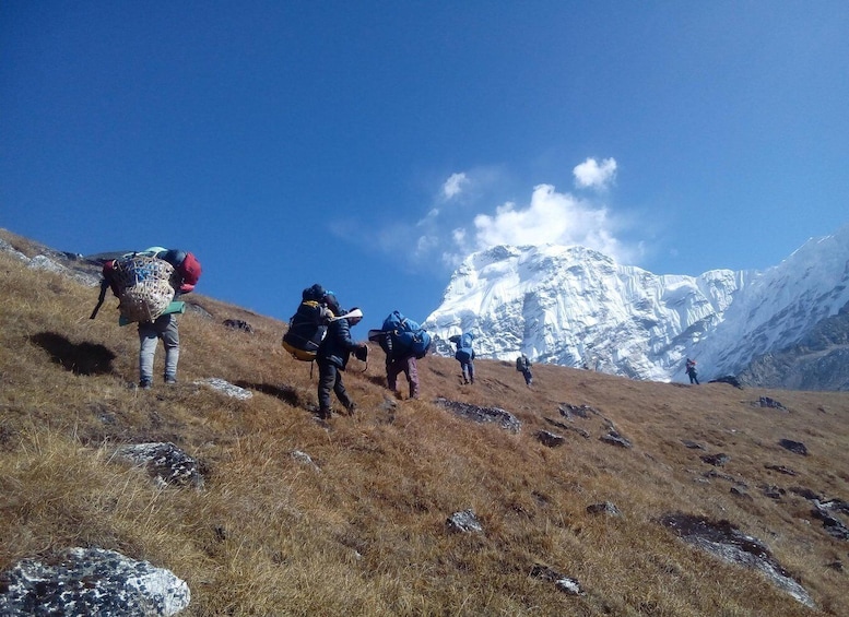 Picture 6 for Activity Mera Peak Climbing - 14 Days