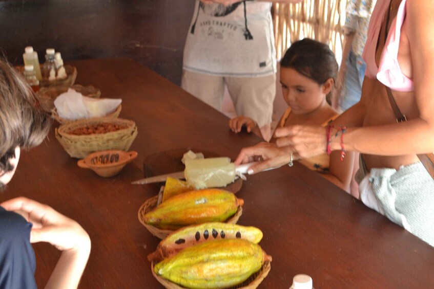 Picture 8 for Activity Tulum: Chocolate & Honey Sanctuary Experience with Lunch