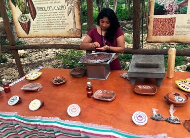 Tulum: Chocolate & Honey Sanctuary Experience with Lunch