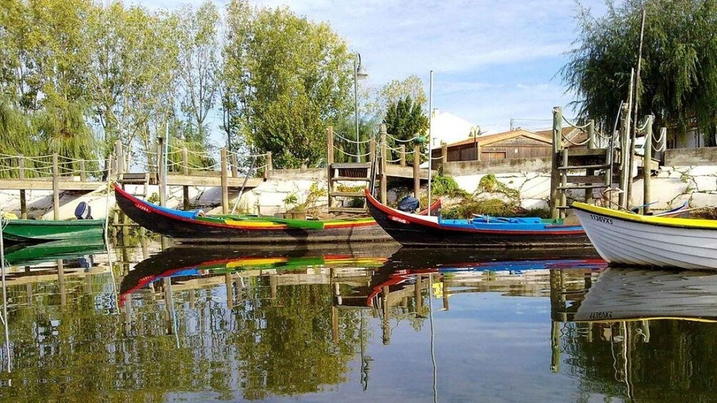 Picture 1 for Activity Valada do Ribatejo: Tejo River Birdwatching Experience