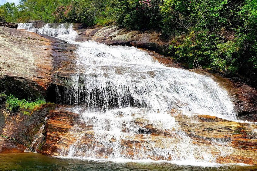 Picture 3 for Activity Asheville: Blue Ridge Mountains Tour for Children!