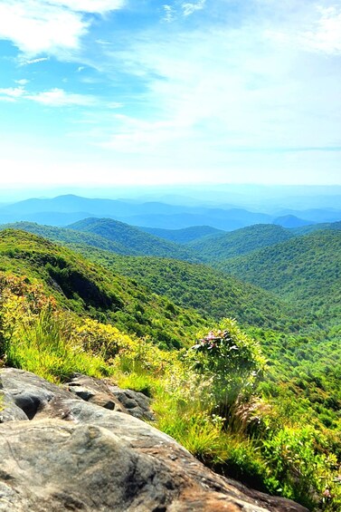 Picture 4 for Activity Asheville: Blue Ridge Mountains Tour for Children!