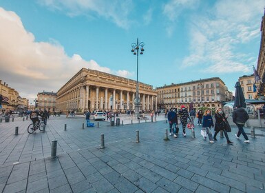 Bordeaux: Tour with Private Guide