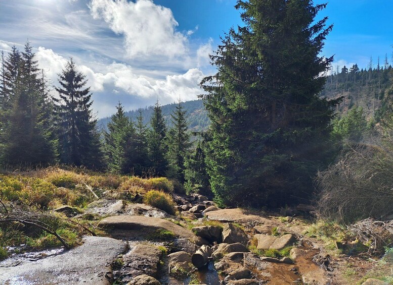 Adventure Hiking and Camping in the Harz Mountains: Brocken