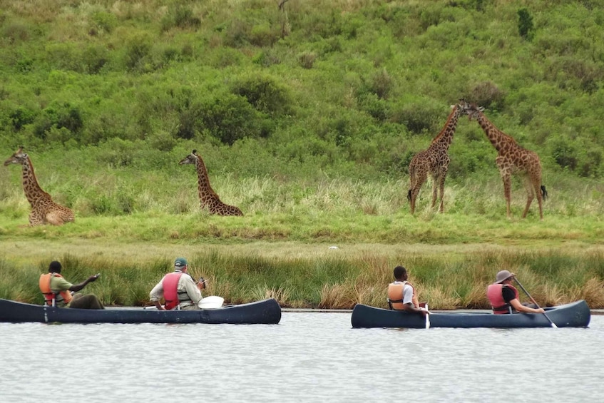 Picture 2 for Activity Canoeing in Arusha National Park