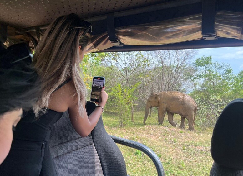 Picture 12 for Activity Udawalawe National park with Safari jeep & Entrance ticket