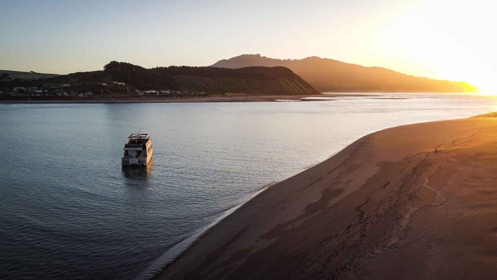 Picture 3 for Activity Raglan: Scenic Harbour Sunset Cruise