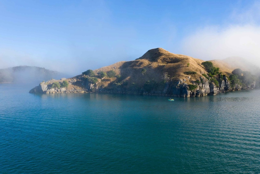 Picture 8 for Activity Raglan: Scenic Harbour Sunset Cruise