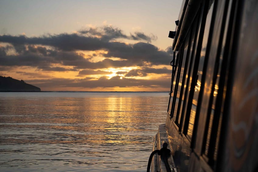 Picture 9 for Activity Raglan: Scenic Harbour Sunset Cruise