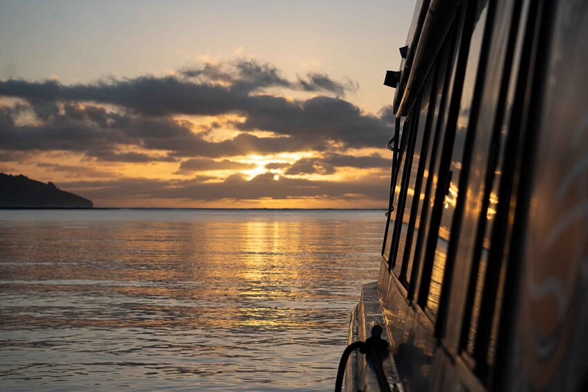 Picture 7 for Activity Raglan: Scenic Harbour Sunset Cruise