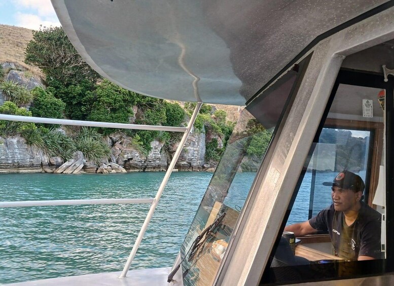 Picture 7 for Activity Raglan: Scenic Harbour Sunset Cruise