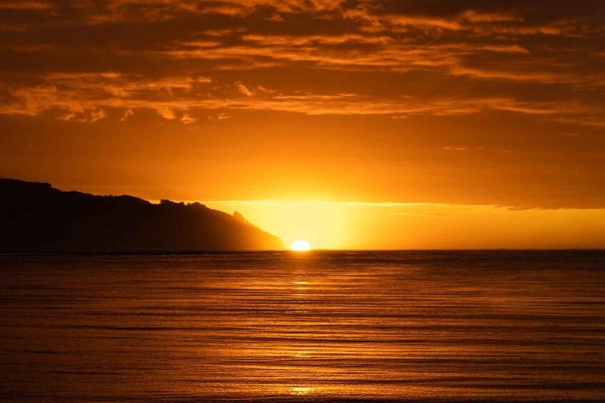 Picture 8 for Activity Raglan: Scenic Harbour Sunset Cruise