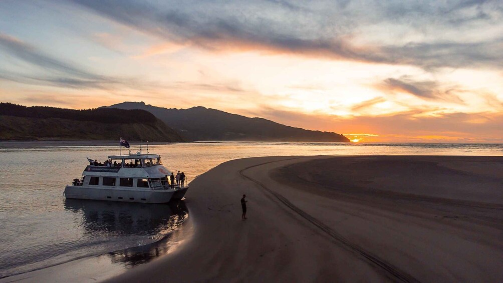 Raglan: Scenic Harbour Sunset Cruise