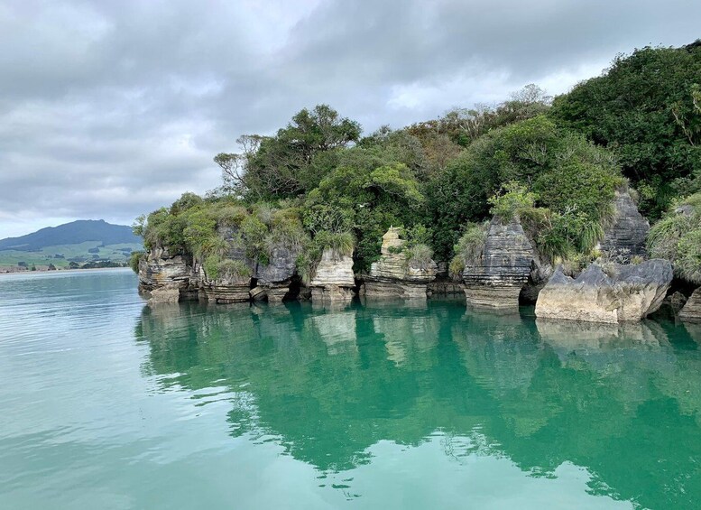 Picture 6 for Activity Raglan: Scenic Harbour Sunset Cruise