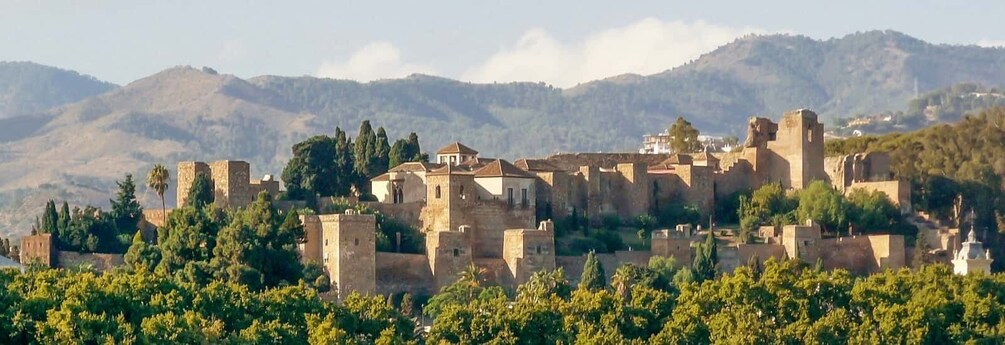 Picture 5 for Activity Malaga: City Center Walking Tour with Tapas Food Tastings