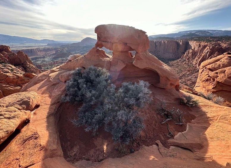 Picture 1 for Activity Guided hike to Meeks Mesa of Capitol Reef