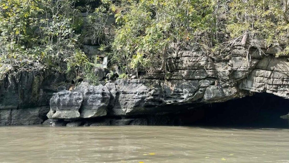 Picture 5 for Activity Mangrovetour 888 in Langkawi: Estimated 3 hours (Private)