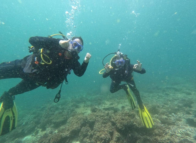 Picture 5 for Activity Muscat: Daymaniat Islands Scuba Diving for Beginners