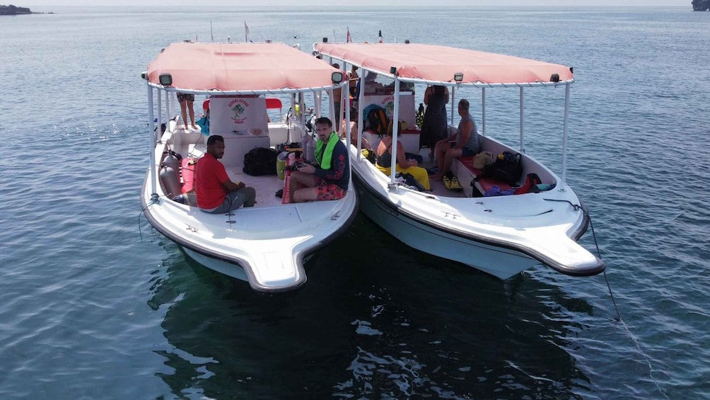 Picture 2 for Activity Muscat: Daymaniat Islands Scuba Diving for Beginners