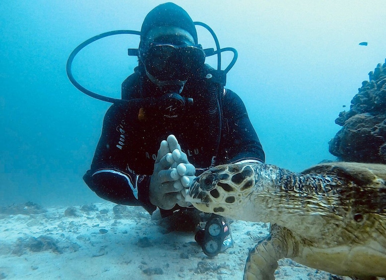 Picture 1 for Activity Muscat: Daymaniat Islands Scuba Diving for Beginners