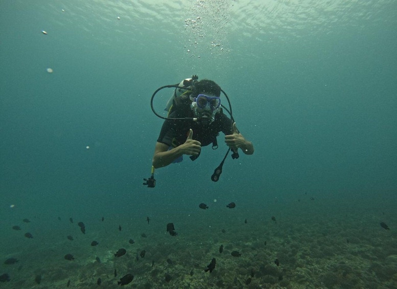 Picture 4 for Activity Muscat: Daymaniat Islands Scuba Diving for Beginners