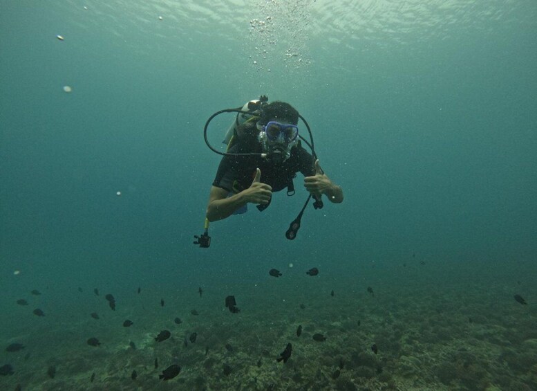 Picture 4 for Activity Muscat: Daymaniat Islands Scuba Diving for Beginners