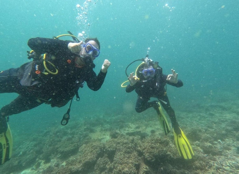 Picture 5 for Activity Muscat: Daymaniat Islands Scuba Diving for Beginners