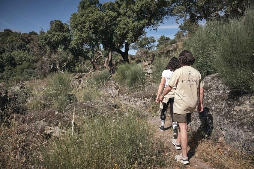 Picture 3 for Activity Hiking in Nature: Guided paths passing through Marvão