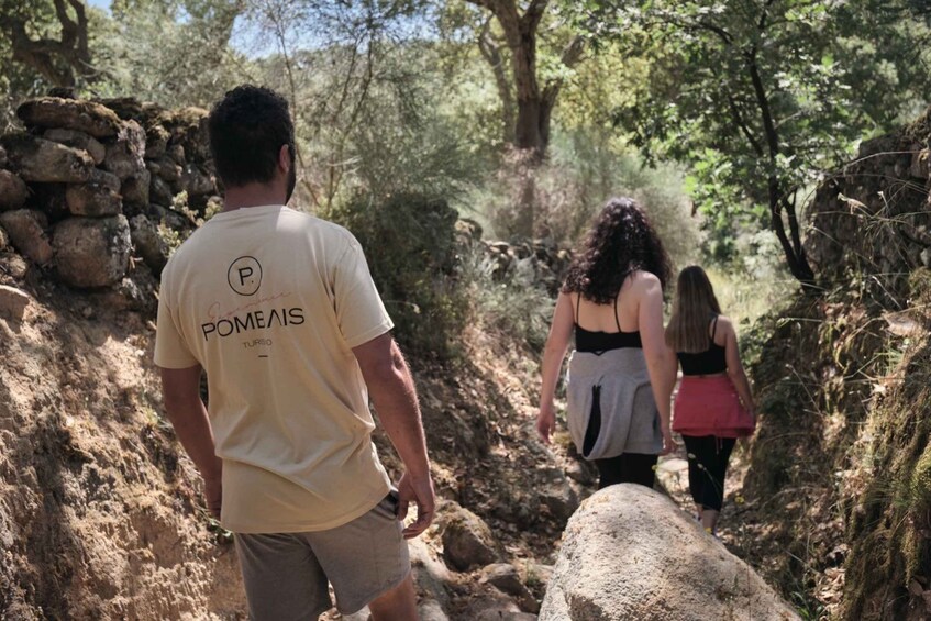 Picture 7 for Activity Hiking in Nature: Guided paths passing through Marvão